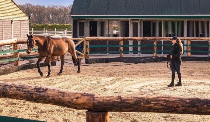 Recreatiepark Beringerzand in Limburg, horseback riding, camping for riders, Netherlands, horseback riding