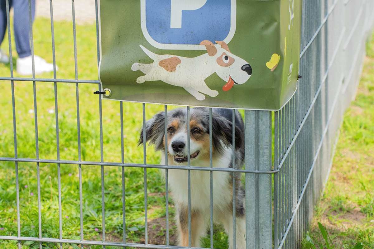 Campingpark Münsterland Eichenhof