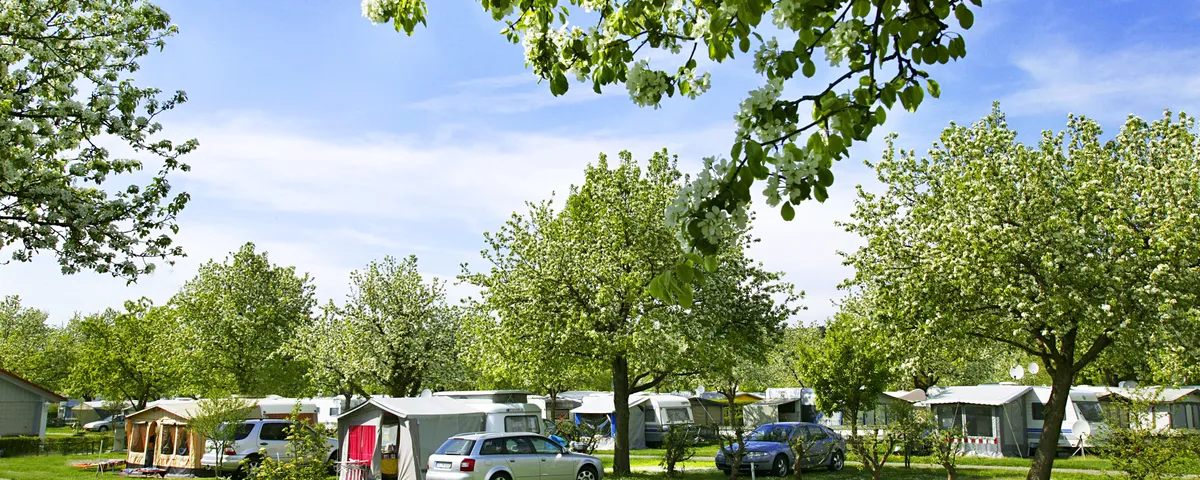 Camping Wirthshof: 5 Sterne Camping am Bodensee - Magazin - camping.info