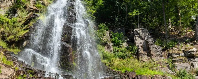 Trusetaler Wasserfall: Das Naturwunder von Thringen - Magazin -  camping.info