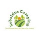 Sebaldus Camping 6